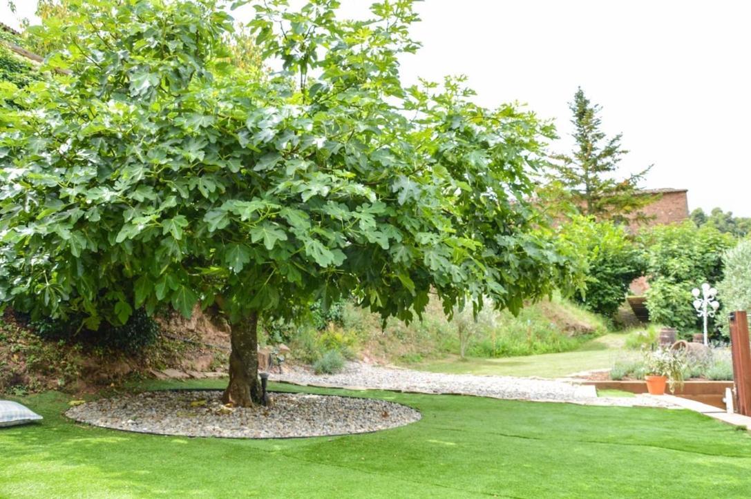Cal Secretari Villa Rellinars Екстериор снимка
